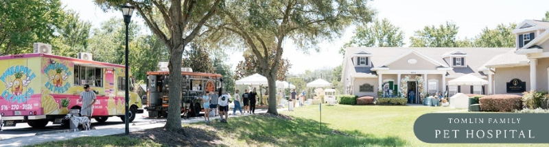 Food trucks serving guests at an outdoor company event