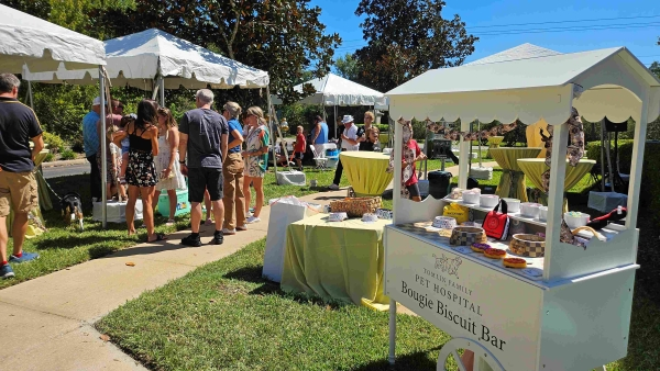 Outdoor event with tents, linens and a biscuit bar cart